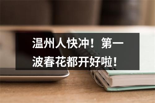 温州人快冲！第一波春花都开好啦！