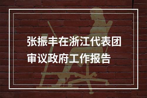 张振丰在浙江代表团审议政府工作报告