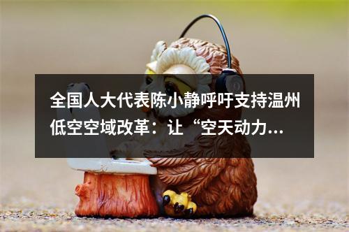 全国人大代表陈小静呼吁支持温州低空空域改革：让“空天动力”牵引城市乘风而起