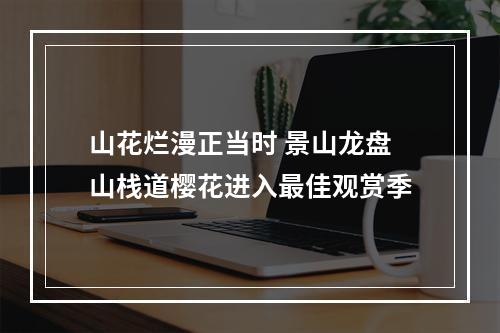 山花烂漫正当时 景山龙盘山栈道樱花进入最佳观赏季