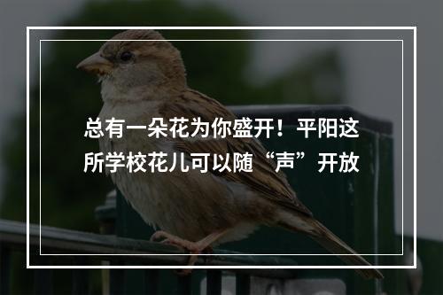 总有一朵花为你盛开！平阳这所学校花儿可以随“声”开放