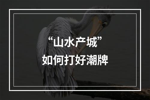 “山水产城”如何打好潮牌