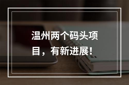温州两个码头项目，有新进展！