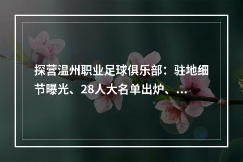 探营温州职业足球俱乐部：驻地细节曝光、28人大名单出炉、酝酿国内首创会员制改革