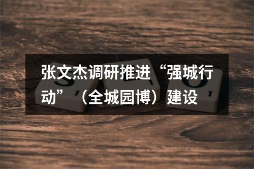 张文杰调研推进“强城行动”（全城园博）建设