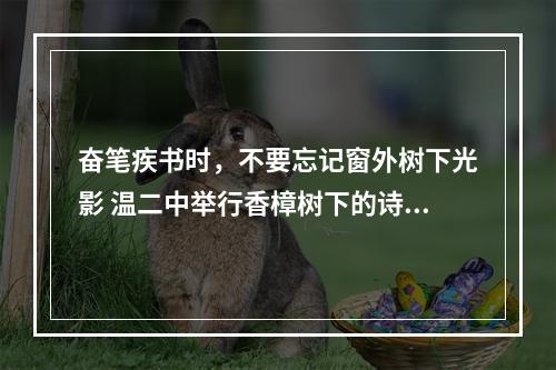 奋笔疾书时，不要忘记窗外树下光影 温二中举行香樟树下的诗歌会