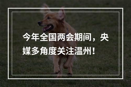 今年全国两会期间，央媒多角度关注温州！