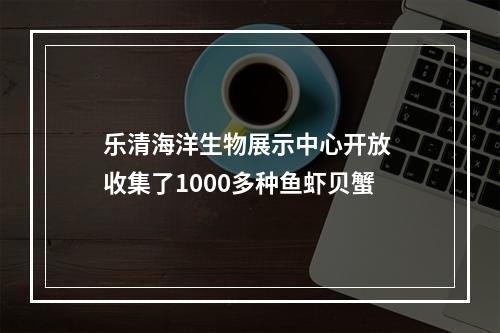 乐清海洋生物展示中心开放 收集了1000多种鱼虾贝蟹