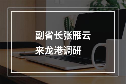 副省长张雁云来龙港调研