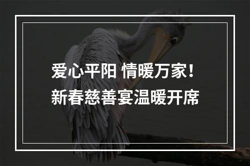 爱心平阳 情暖万家！新春慈善宴温暖开席