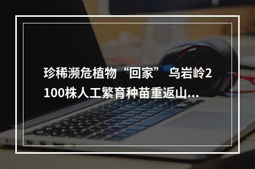 珍稀濒危植物“回家” 乌岩岭2100株人工繁育种苗重返山林