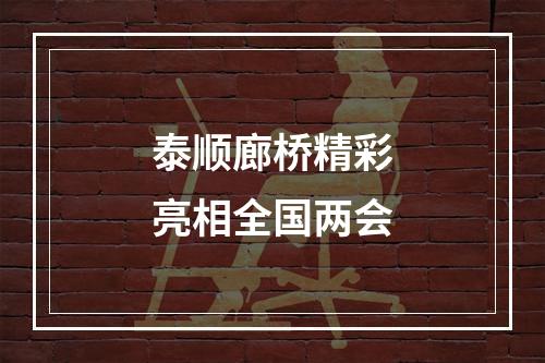 泰顺廊桥精彩亮相全国两会