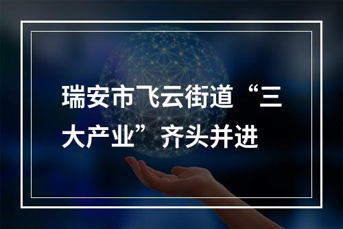 瑞安市飞云街道“三大产业”齐头并进