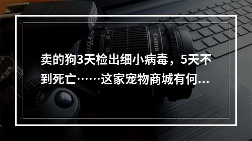 卖的狗3天检出细小病毒，5天不到死亡……这家宠物商城有何“猫腻”？