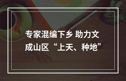 专家混编下乡 助力文成山区“上天、种地”