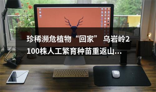 珍稀濒危植物“回家” 乌岩岭2100株人工繁育种苗重返山林