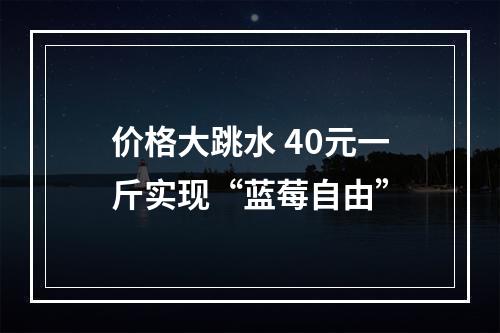 价格大跳水 40元一斤实现“蓝莓自由”