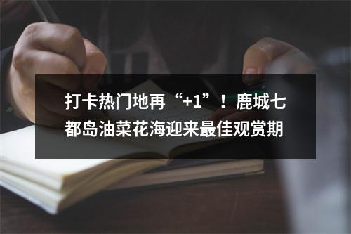 打卡热门地再“+1”！鹿城七都岛油菜花海迎来最佳观赏期