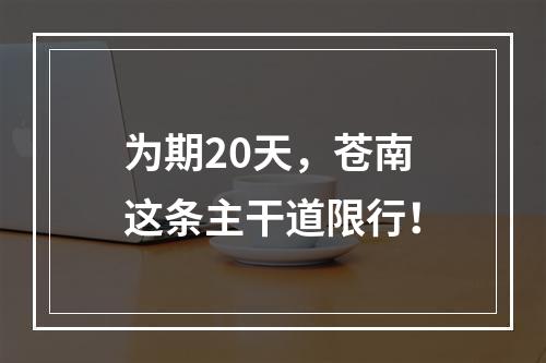 为期20天，苍南这条主干道限行！