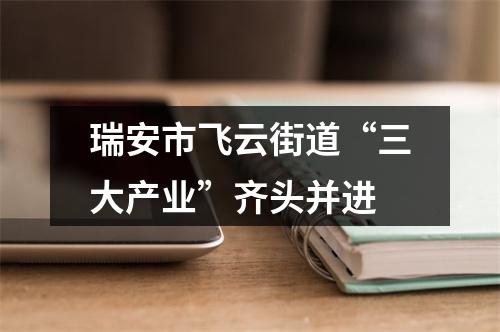 瑞安市飞云街道“三大产业”齐头并进
