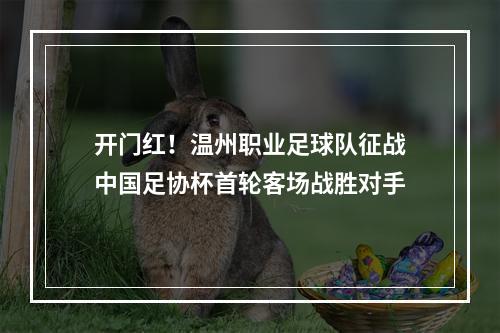 开门红！温州职业足球队征战中国足协杯首轮客场战胜对手