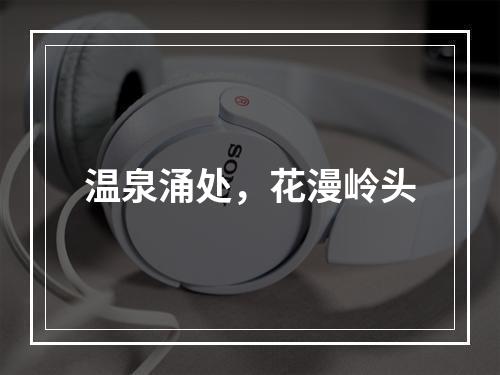 温泉涌处，花漫岭头