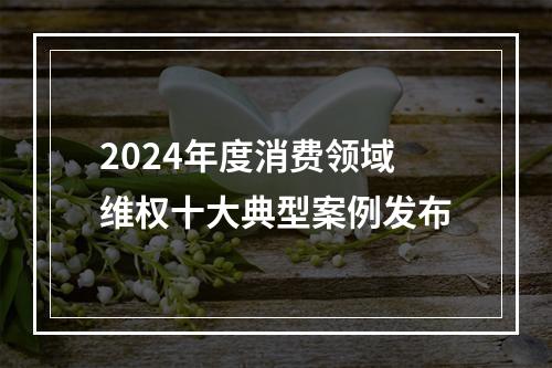 2024年度消费领域维权十大典型案例发布