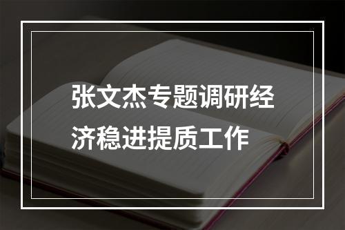 张文杰专题调研经济稳进提质工作