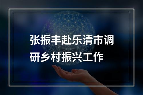 张振丰赴乐清市调研乡村振兴工作