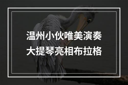 温州小伙唯美演奏大提琴亮相布拉格