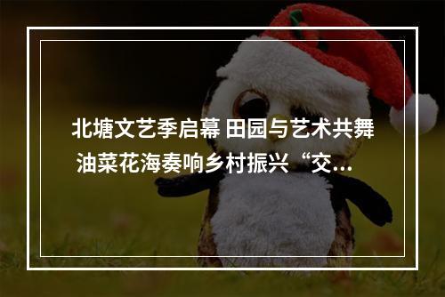 北塘文艺季启幕 田园与艺术共舞 油菜花海奏响乡村振兴“交响曲”