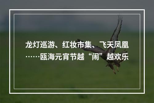 龙灯巡游、红妆市集、飞天凤凰……瓯海元宵节越“闹”越欢乐