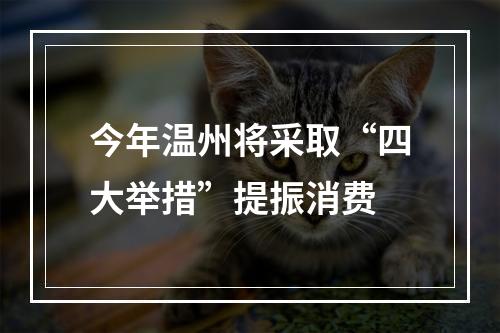 今年温州将采取“四大举措”提振消费