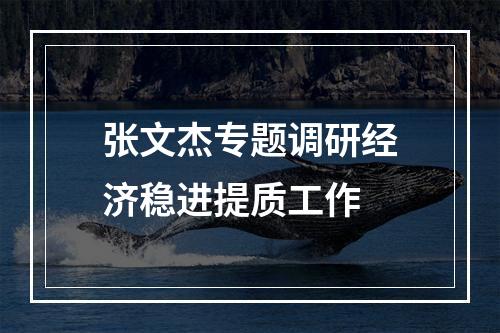 张文杰专题调研经济稳进提质工作