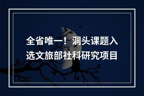全省唯一！洞头课题入选文旅部社科研究项目