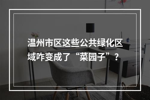 温州市区这些公共绿化区域咋变成了“菜园子”？