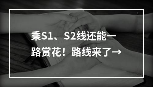 乘S1、S2线还能一路赏花！路线来了→