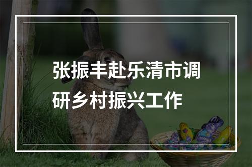 张振丰赴乐清市调研乡村振兴工作