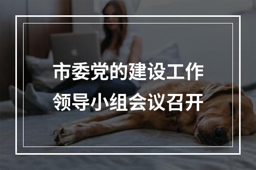 市委党的建设工作领导小组会议召开