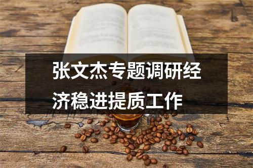 张文杰专题调研经济稳进提质工作