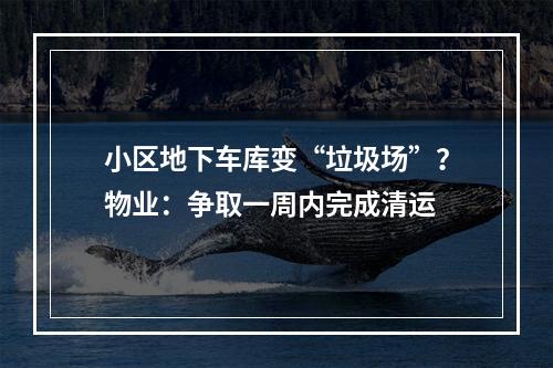 小区地下车库变“垃圾场”？物业：争取一周内完成清运