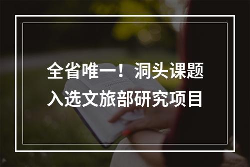 全省唯一！洞头课题入选文旅部研究项目