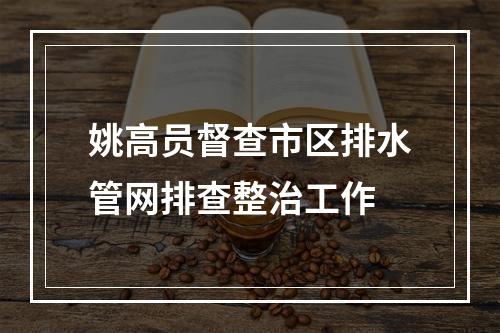 姚高员督查市区排水管网排查整治工作