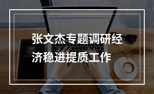 张文杰专题调研经济稳进提质工作