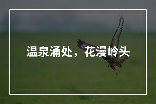 温泉涌处，花漫岭头