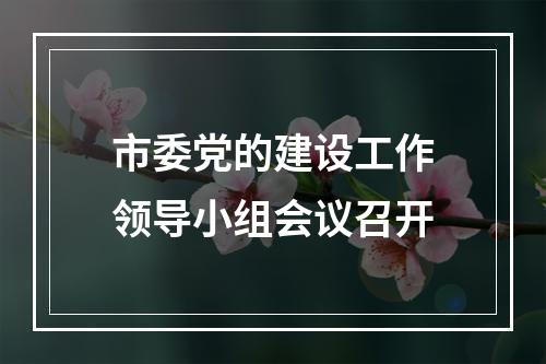 市委党的建设工作领导小组会议召开