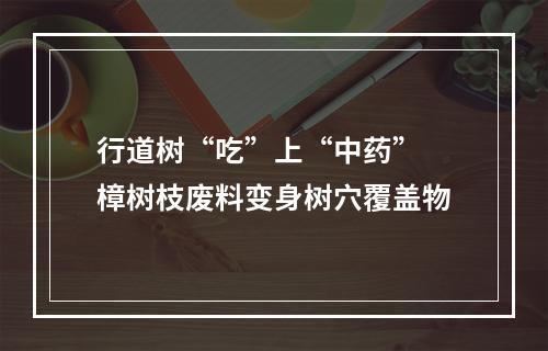 行道树“吃”上“中药” 樟树枝废料变身树穴覆盖物