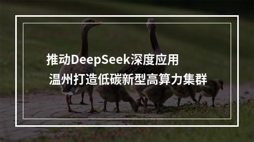 推动DeepSeek深度应用 温州打造低碳新型高算力集群
