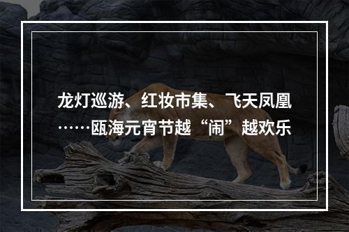 龙灯巡游、红妆市集、飞天凤凰……瓯海元宵节越“闹”越欢乐
