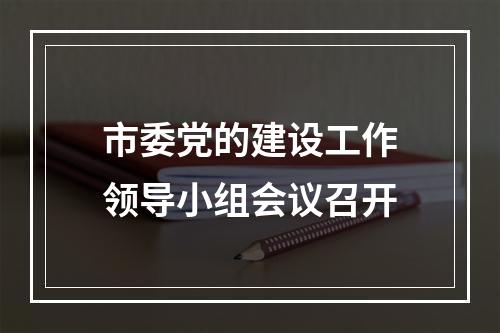 市委党的建设工作领导小组会议召开